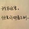 追击者